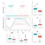 Precise Segmentation of U.S. Adults from 24-Hour Wearable-based Physical Activity Profiles Using Machine Learning Clustering