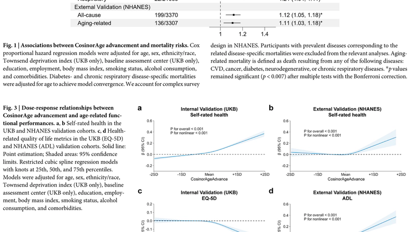 Circadian Rhythm Analysis Using Wearable-Based Accelerometry as a Digital Biomarker of Aging and Healthspan