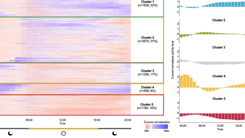 Wearable-based accelerometer activity profile as digital biomarker of inflammation, biological age, and mortality using hierarchical clustering analysis in NHANES 2011–2014